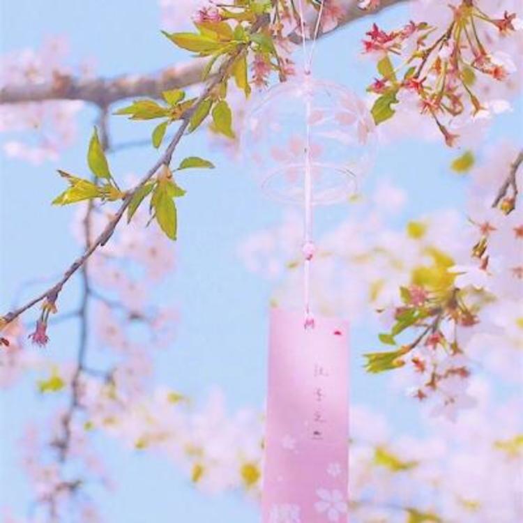 松见真一 - 怀旧港剧全集在线观看 - 线上直播